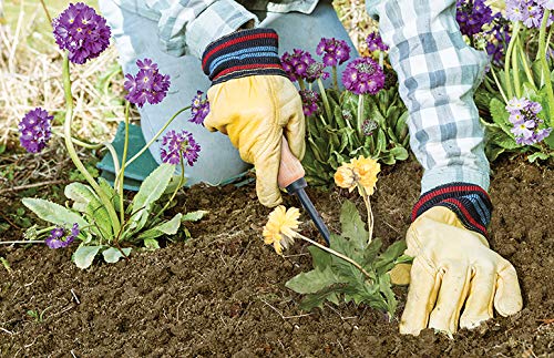 AMES 2447000 Tempered Steel Hand Weeder with Wood Handle, 12-Inch - Image 4