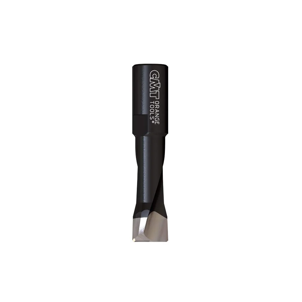 CMT (380.100.11) Bit for Domino Jointing Machines by Festool DF500, 10mm (25/64-Inch), M6x0.75mm Shank