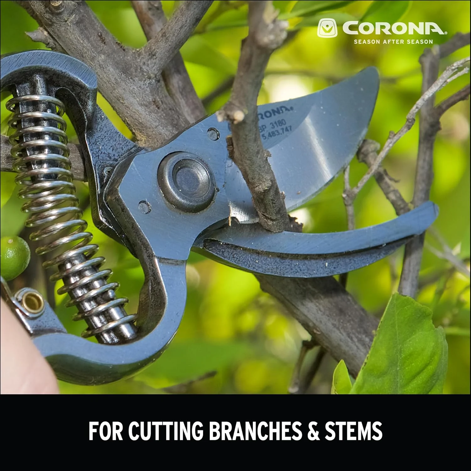 Corona BP3180D Forged Classic Bypass Pruner with 1 Inch Cutting Capacity - Image 6
