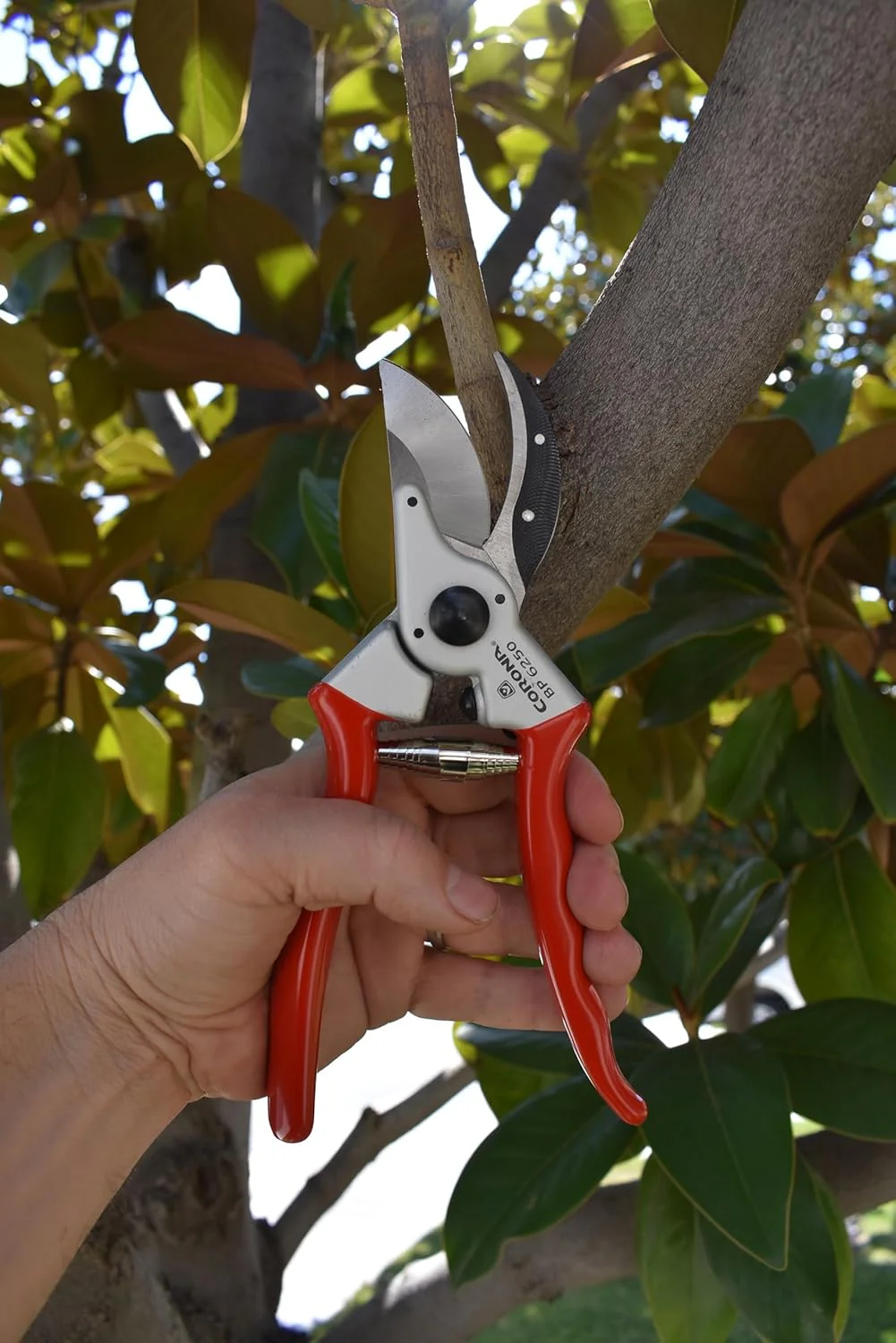 Corona BP 6250 Forged Steel Aluminum Handles Bypass Hand Pruner - 1 inch Cut Capacity Stem and Branch Garden Shears, Red - Image 3