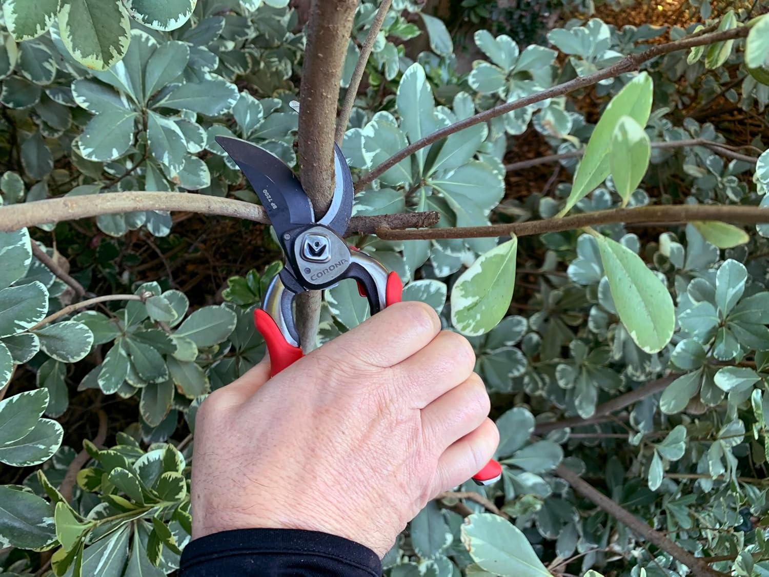 Corona BP7200 Forged Pro Cut Bypass Hand Pruner, 1-Inch, Red - Image 3