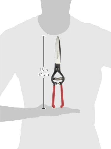Corona GS 6750D ClassicCUT Grass Shear, Natural, 4-1/2 inch - Image 3