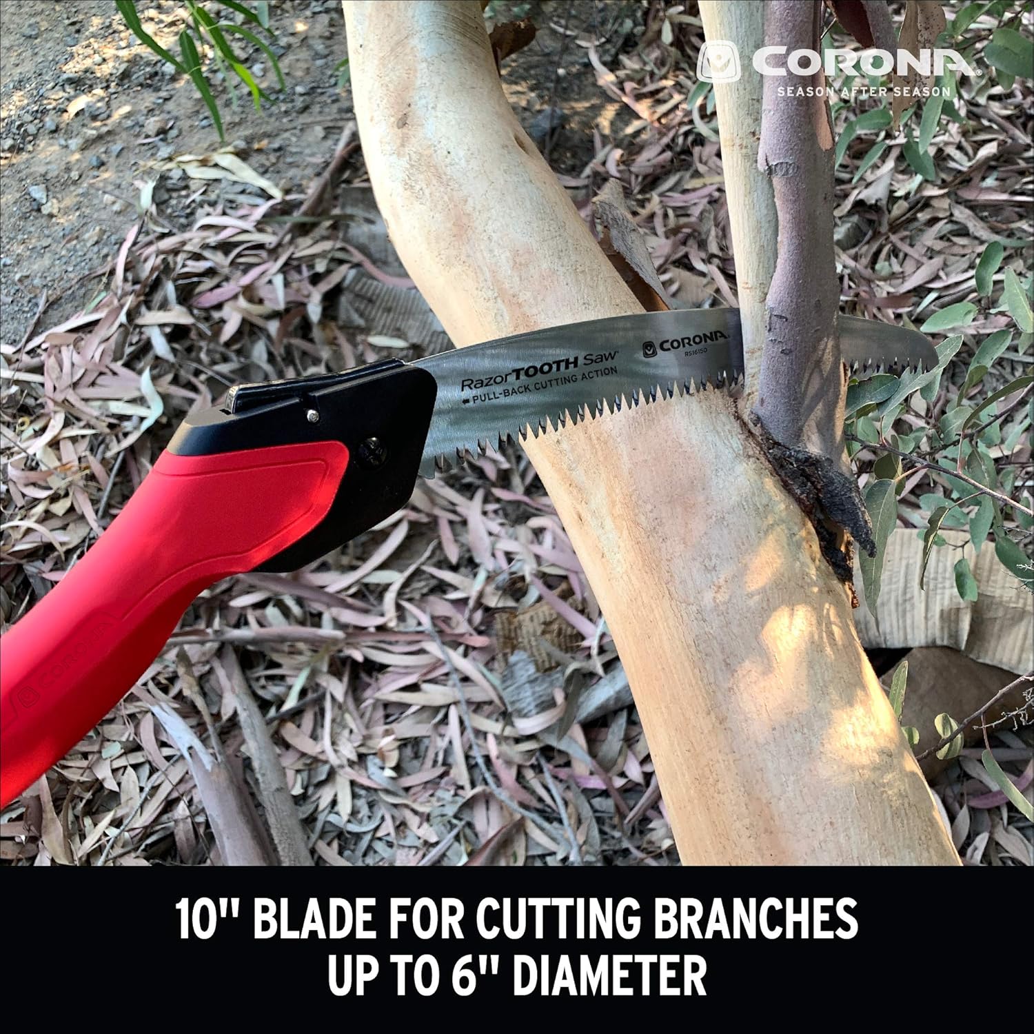 Corona Tools 10-Inch RazorTOOTH Folding Pruning Curved Blade Hand Saw - RS16150, Red - Image 6