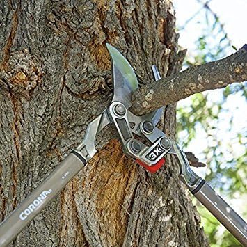 Corona Tools SL8180D 33-inch Branch Cutter DualLINK MAXFORGED Bypass Loppers, Tree Trimmer Cuts Branches up to 2-inches in Diameter - Image 4