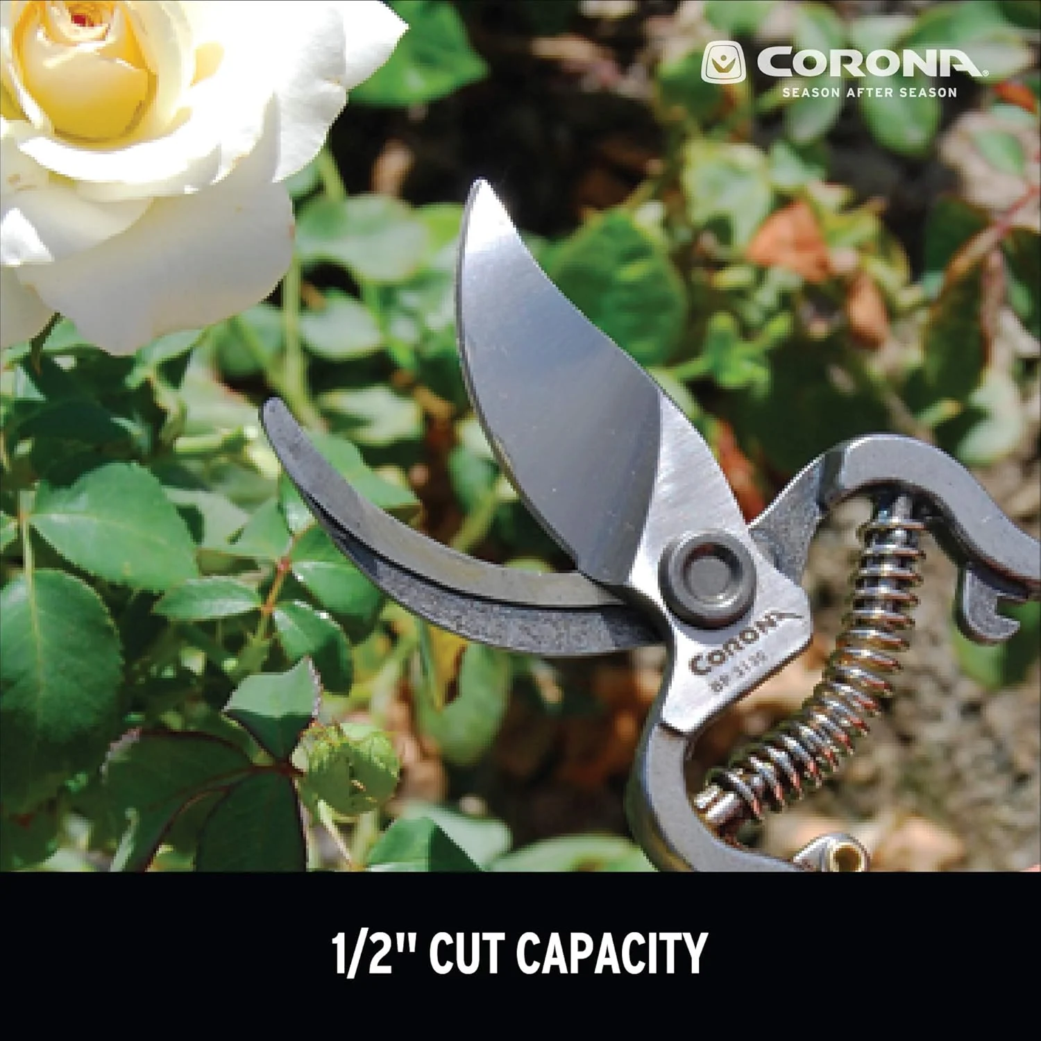 Corona Tools BP3130 ClassicCUT Forged Bypass Pruning Shears for Gardening, Cuts Branches and Stems up to 1/2-inch in Diameter, 1/2-inch Cut Bypass Pruner - Image 7
