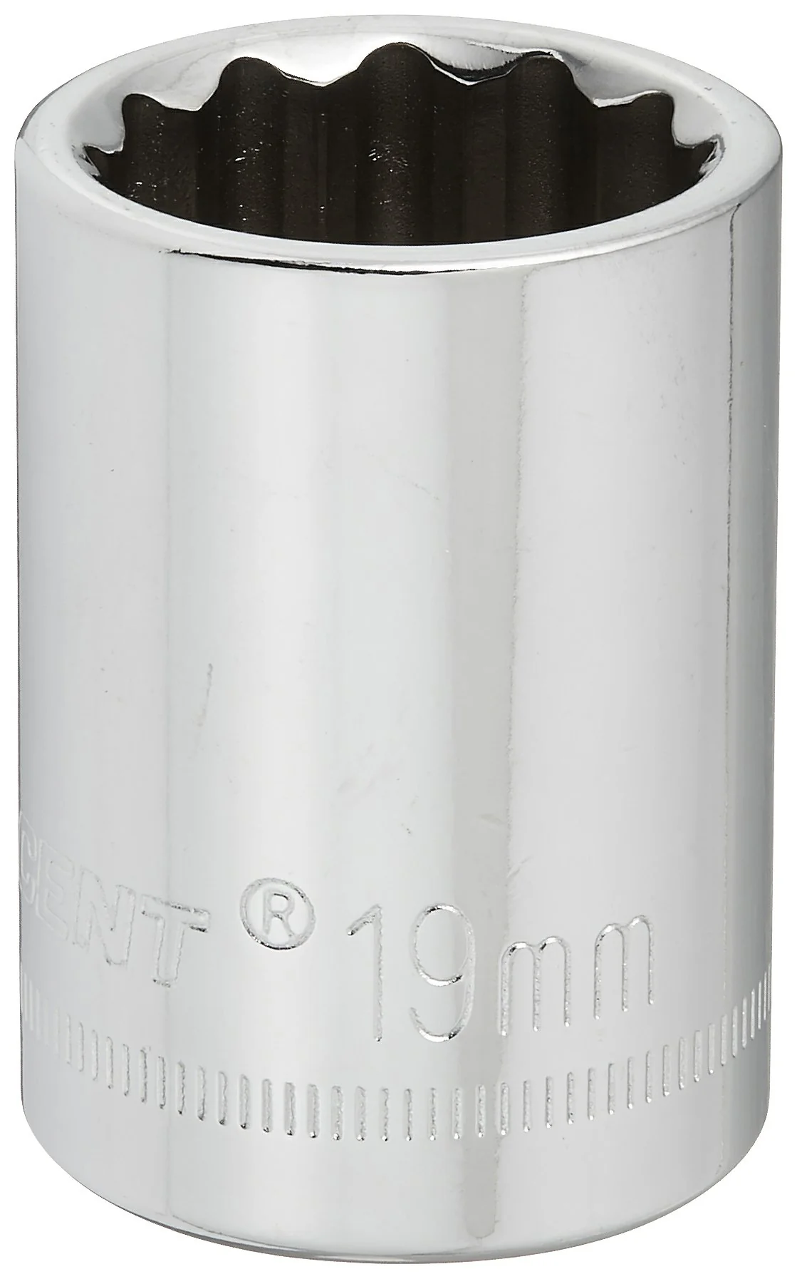 Crescent CDS79N 1/2" Drive 12 Point Standard Metric Socket 19mm (Pack of 1)