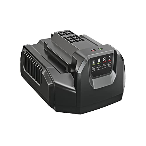 EGO Power+ Lithium-ion Standard Charger