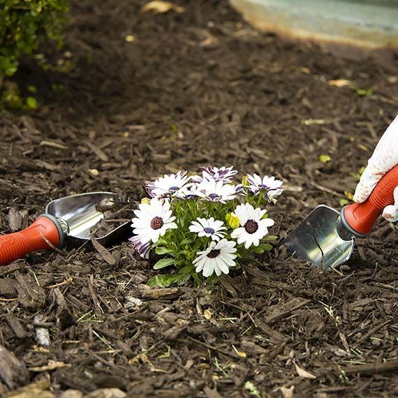 Garden Weasel 3-Piece Hand Tool Combo Set | Trowel, Transplanter and Cultivator | Heavy Duty Lawn and Garden Set, Digging, Planting, and Weeding - Image 4