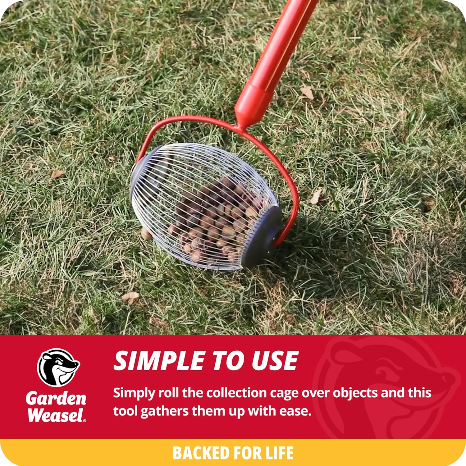 Garden Weasel Nut Gatherer - Nut Collector and Picker Upper Roller - Image 5