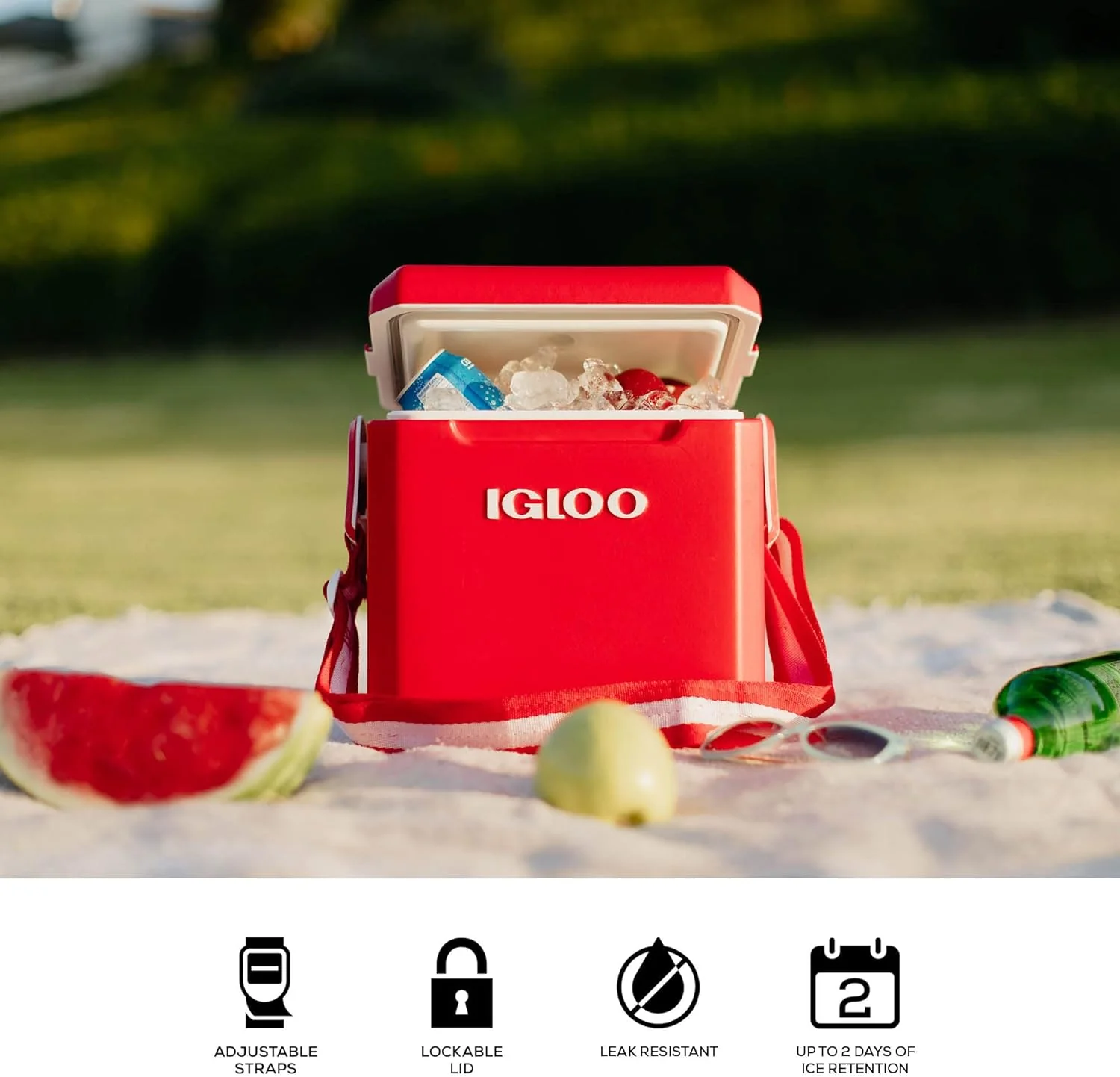 Igloo 11-Quart Tag Along Too Strapped Picnic Style Cooler - Image 6