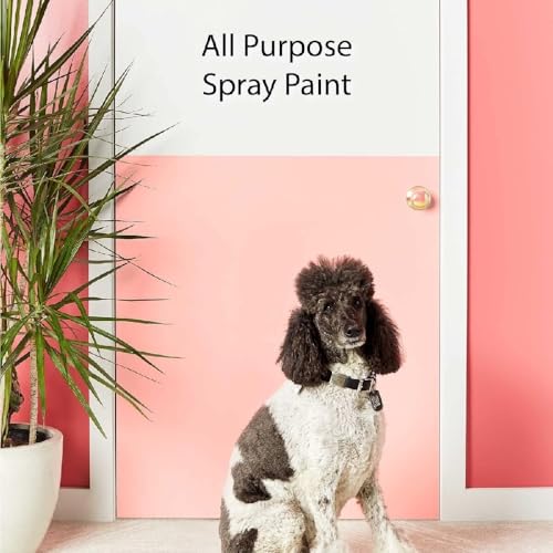 Krylon 12 oz K05582007 Gray COLORmaxx Paint & Primer Spray Paint, Primer - Image 6
