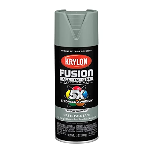 Krylon Fusion All-In-One Adhesive Spray Paint for Indoor/Outdoor Use, 12 oz, Pale Sage