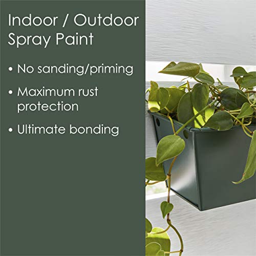 Krylon Fusion All-In-One Adhesive Spray Paint for Indoor/Outdoor Use, 12 oz, Spanish Moss - Image 4