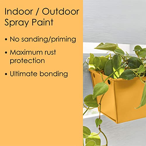 Krylon Fusion All-In-One Adhesive Spray Paint for Indoor/Outdoor Use, 12 oz, Wild Honey - Image 4
