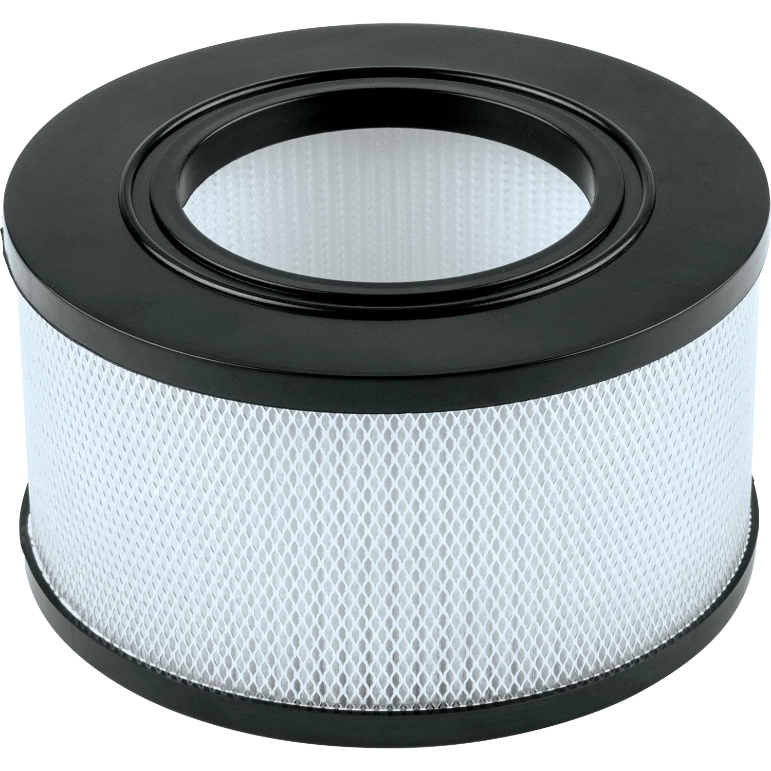 Makita 107413555 Wet/Dry HEPA Filter, VC4210