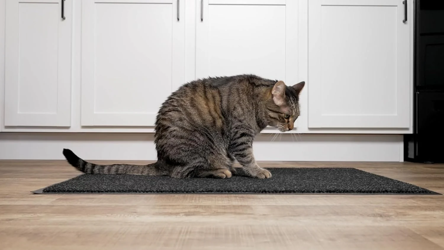Notrax - 136S0036CH 136 Polynib Entrance Mat, for Home or Office, 3' X 6' Charcoal - Image 3