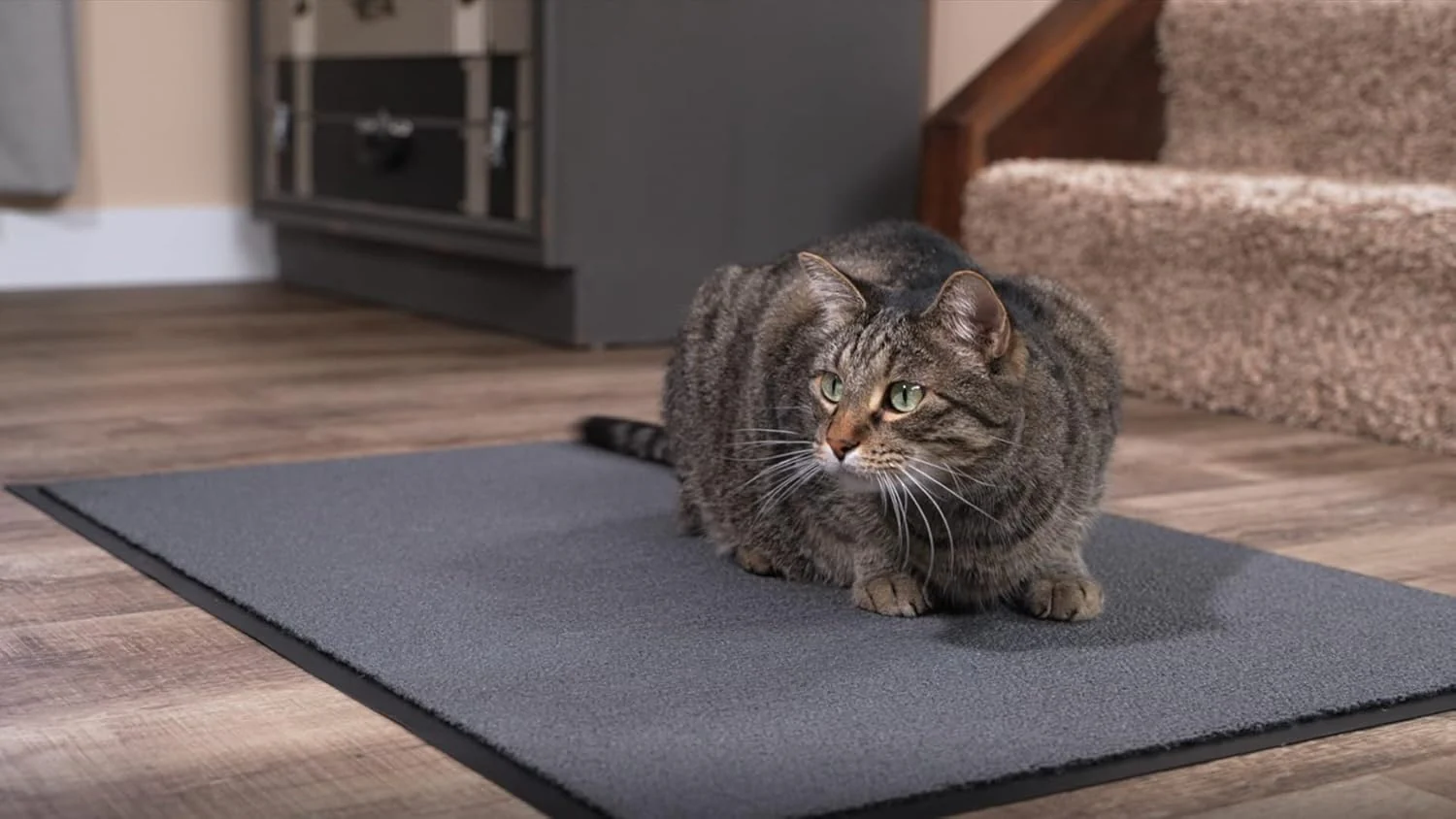 Notrax 141S0023GY 141 Ovation Entrance Mat, for Home or Office, 2' X 3' Gray - Image 7