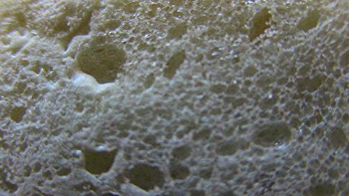 Red Devil 0908 Foam & Fill Large Gaps & Cracks Expanding Polyurethane Sealant, 8 oz, Off White, Case of 6 - Image 6