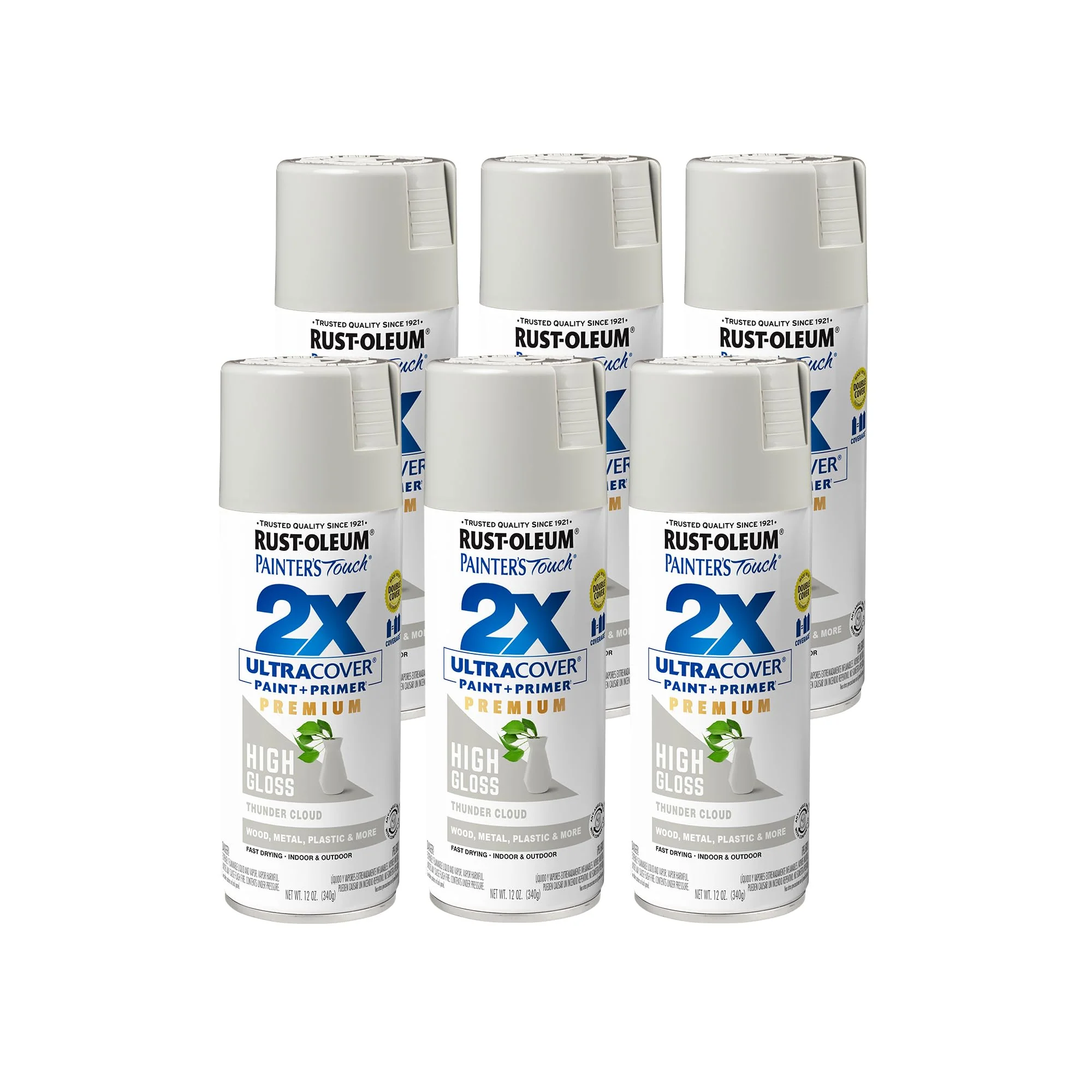 Rust-Oleum 355060 Painter's Touch 2X Ultra Cover Spray Paint, 12 oz, High Gloss Thunder Cloud (Pack of 6)