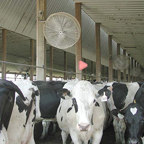 Schaefer 36DF Single Phase Direct Flow Agriculture 36� Wall Mounted Circulating High Velocity Fan w/T-shaped Mount - 1/2 HP, 13140CFM - Made in USA - Image 7