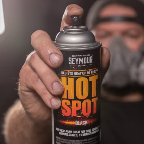 Seymour 16-1201 Hot Spot High Temperature Paints, Aluminium - Image 8