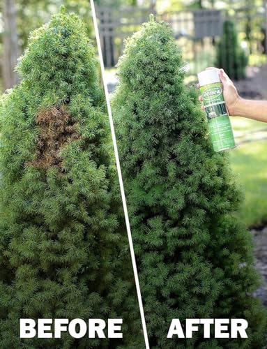 Seymour RENEW Grass and Shrub (Pristine). 1 - 17oz. Can. - Image 6