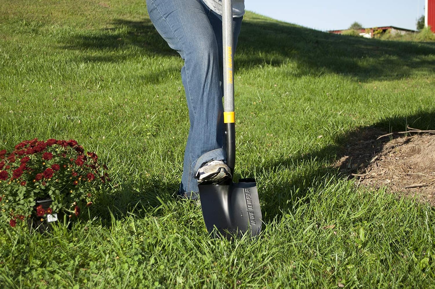 The Ames Companies, Inc 2585600 True Temper Forged Round Point Digging Shovel 57 in. Hardwood Handle Round Point Shovel - Image 6